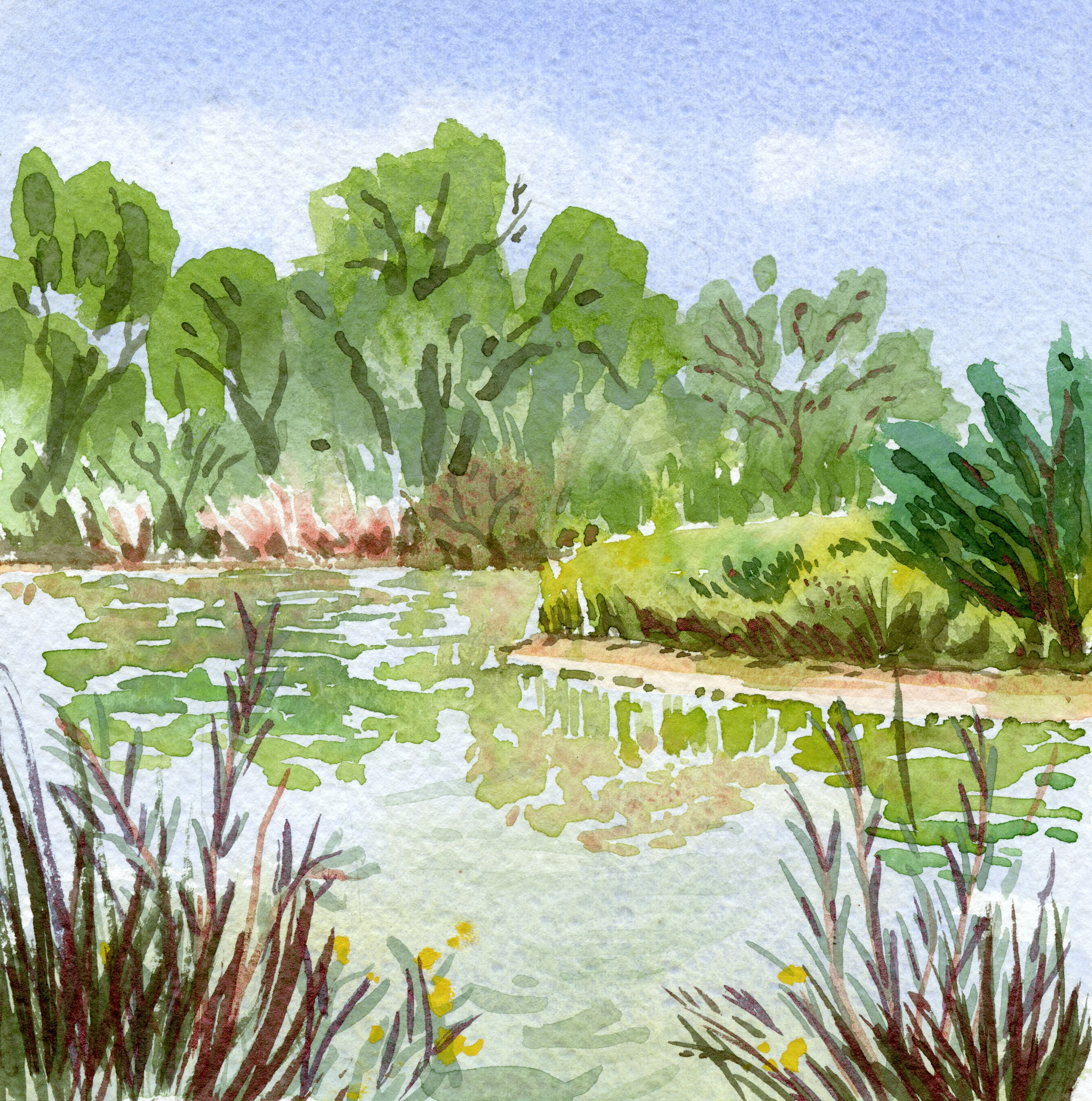 North Pond EPA watercolor painting