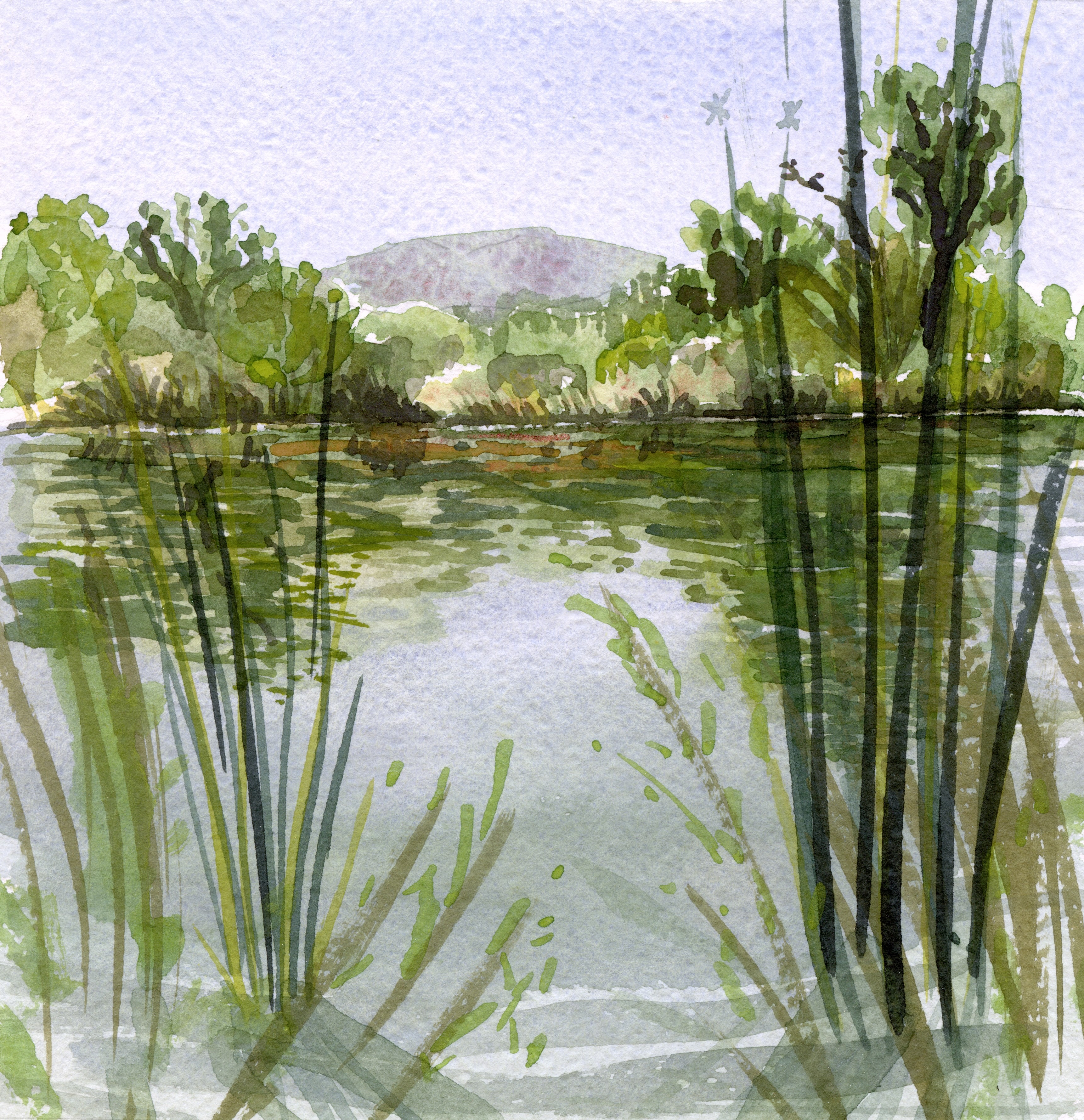 South Pond EPA watercolor painting