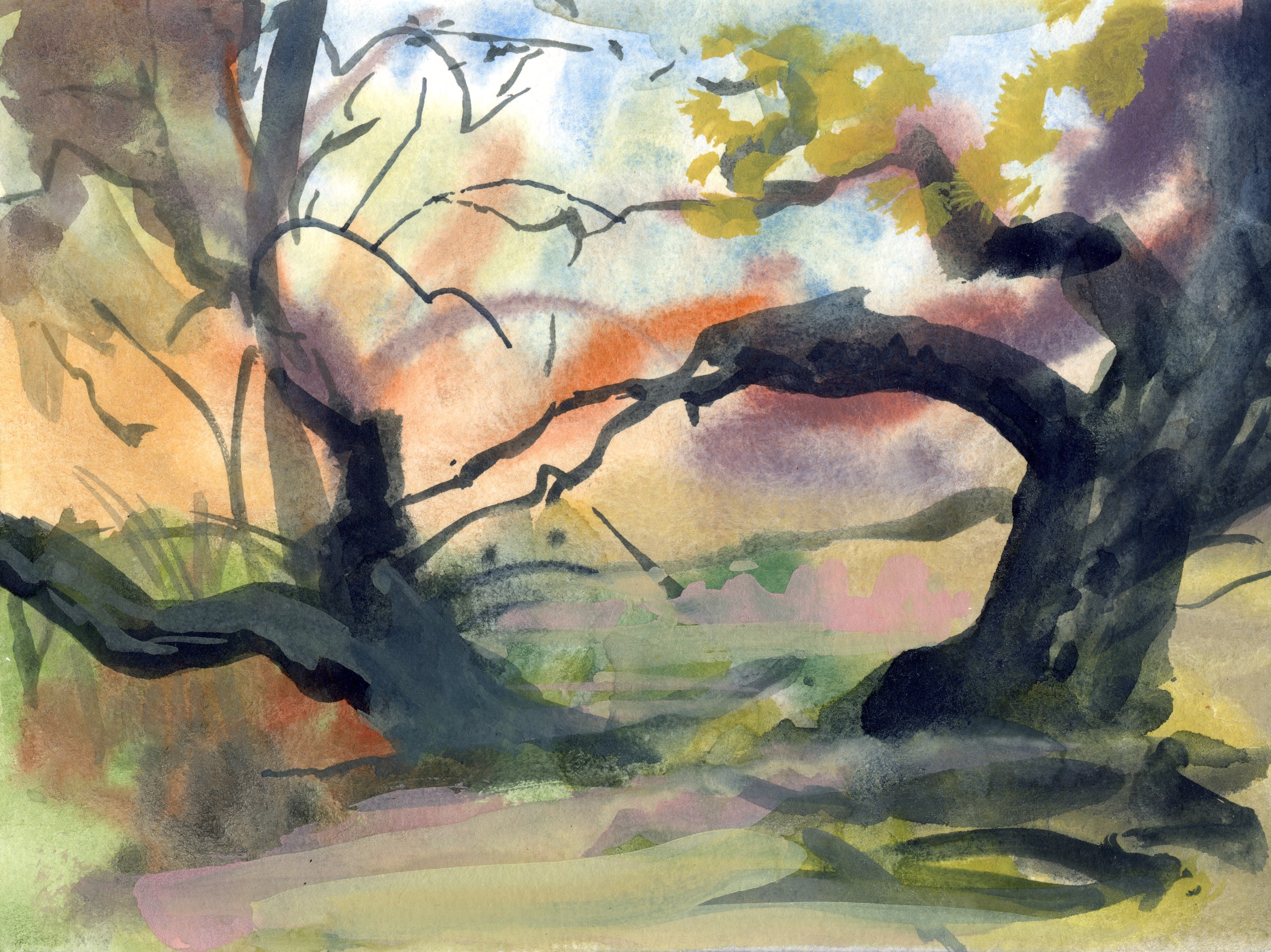 RGNS EPA watercolor painting