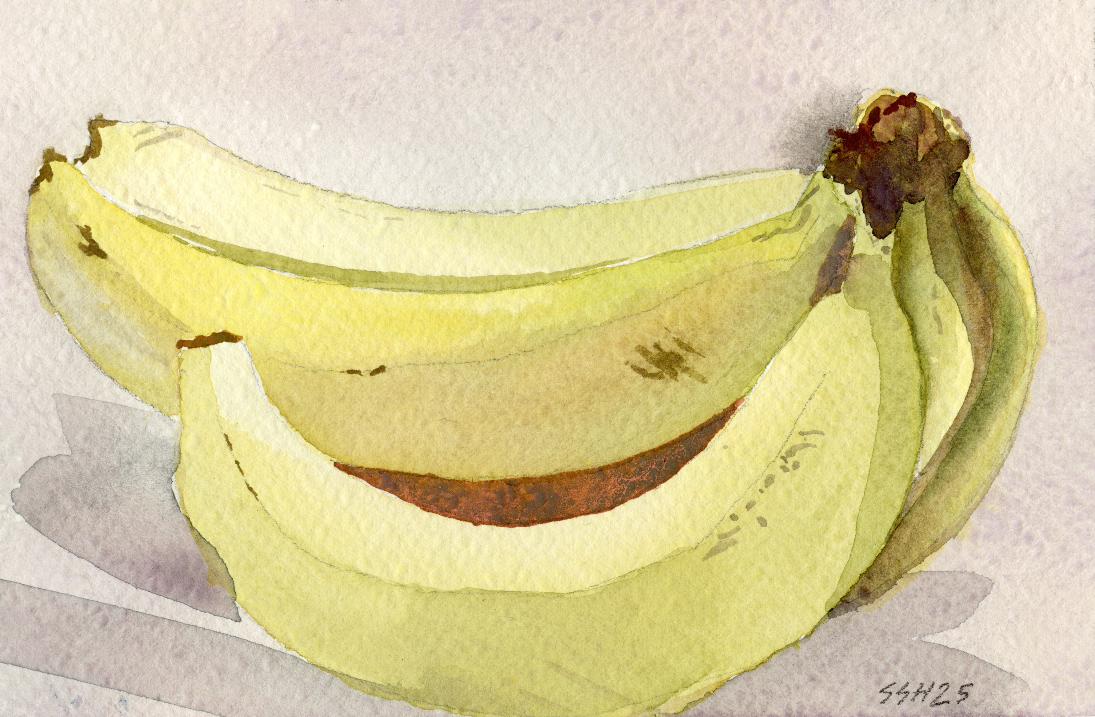 Studio Bananas — watercolor by Sean Hudson